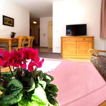 Restful Near Bad Reichenhall With E Charging Station Holiday home